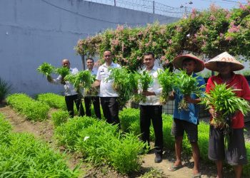 Panen Kangkung Berkala di Rutan Bandar Lampung: Wujud Nyata Pembinaan dan Kemandirian Ketahanan Pangan