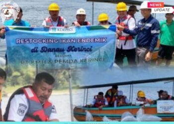 Bupati Monadi Pimpin Penebaran Ikan Endemik di Danau Kerinci, Jaga Ekosistem dan Dukung Kesejahteraan Nelayan