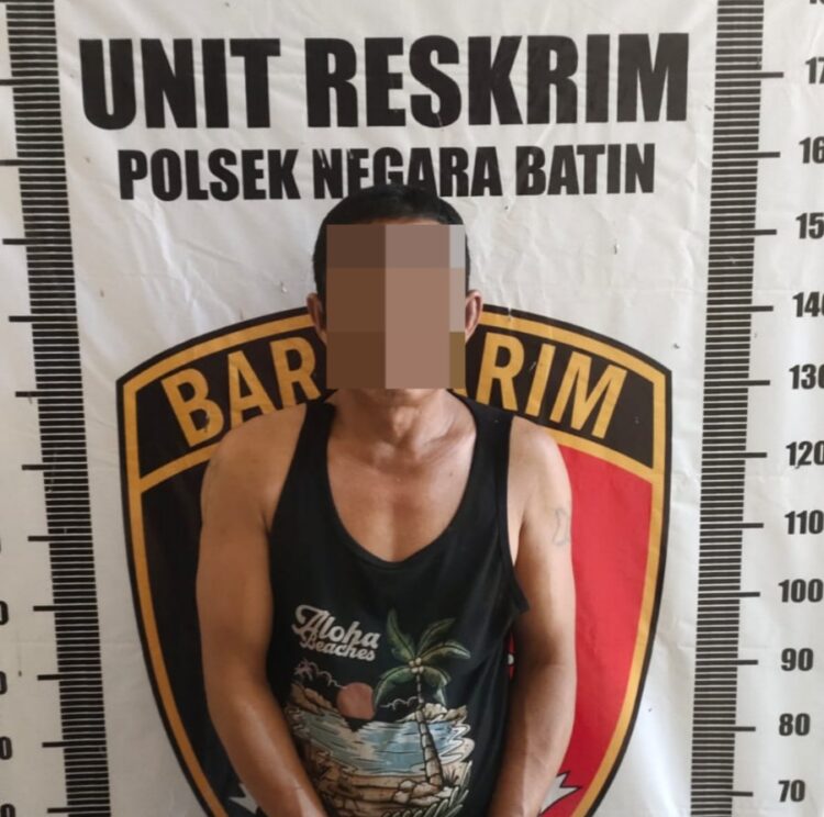 Curi Buah Sawit dan Miliki Senpi Rakitan, Pria Asal Tulang Bawang Barat Diringkus Polisi